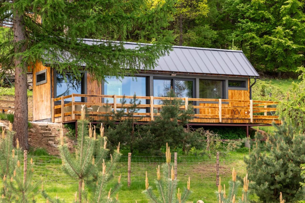 Szczurze Wzgorze Villa Zachelmie  Dış mekan fotoğraf